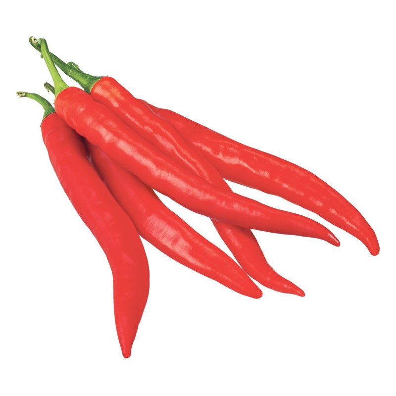 Piment Rouge