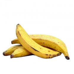 Banane Plantin