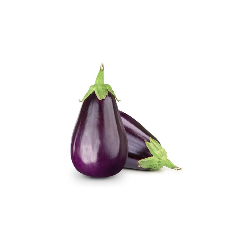 Aubergine