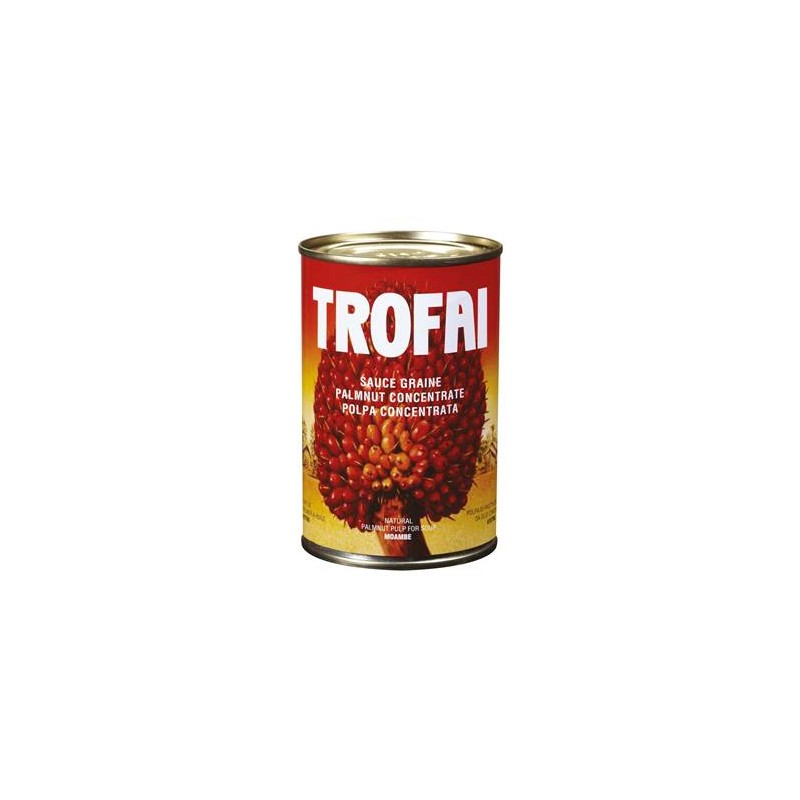 Sauce graine de palme TROFAI 400 g