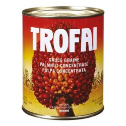 Sauce graine de palme TROFAI 800 g