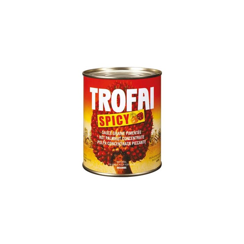 Sauce graine de palme TROFAI Spicy 800 g