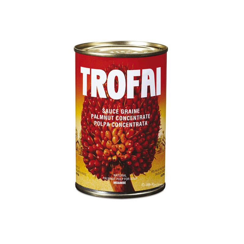 Sauce graine de palme TROFAI 280 g